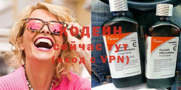 бошки Няндома