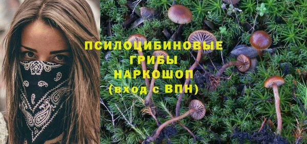 наркотики Новодвинск