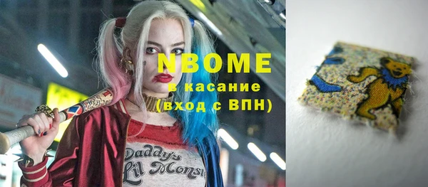бошки Няндома