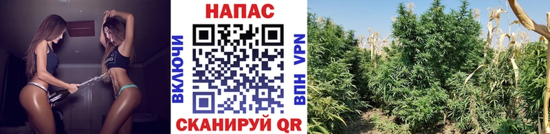 OMG ССЫЛКА  Краснотурьинск  площадка какой сайт  как найти закладки  Канабис VHQ 